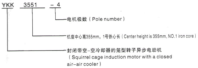 YKK系列(H355-1000)高压YE2-90L-8三相异步电机西安泰富西玛电机型号说明