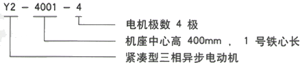 YR系列(H355-1000)高压YE2-90L-8三相异步电机西安西玛电机型号说明